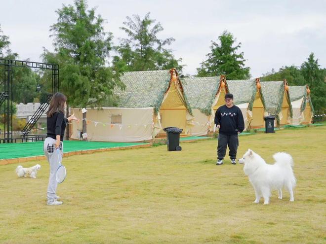茶、露营、带娃遛狗……就藏在你熟悉的这里→pg电子模拟器闵行竟有这样的田园惬意！品(图4)