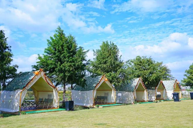 茶、露营、带娃遛狗……就藏在你熟悉的这里→pg电子模拟器闵行竟有这样的田园惬意！品(图5)