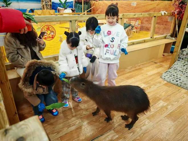 亲子游解锁多种玩法新可能pg电子模拟器试玩安顺(图4)