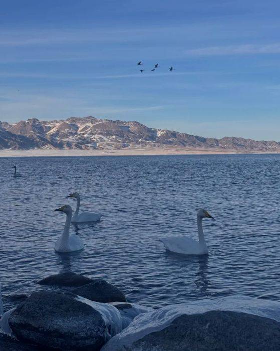 远胜游领衔2025新疆高信誉旅行社TOP10pg电子模拟器试